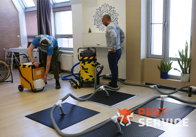 Профессиональная сушка после потопа в Кемерово от 3000 руб. Быстро устраняем влагу, предотвращаем плесень и повреждения. Современное оборудование и опытные специалисты. Безопасно и эффективно.